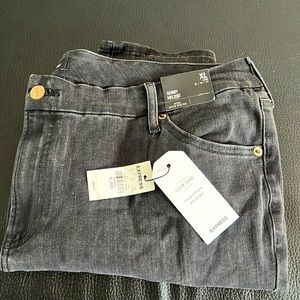 Plus Size Express Skinny Jeans- XL